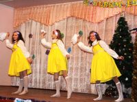 Дом культуры с. Солонцы