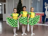 Большегородищенский сельский дом культуры