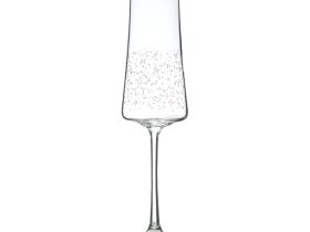 Бокал для шампанского Universe