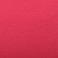 Бумага для пастели Clairefontaine "Etival color" 50x65 см, 160 г фуксия
