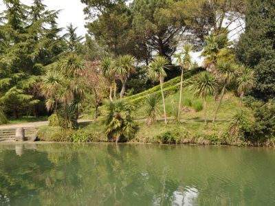 Парк с прудами