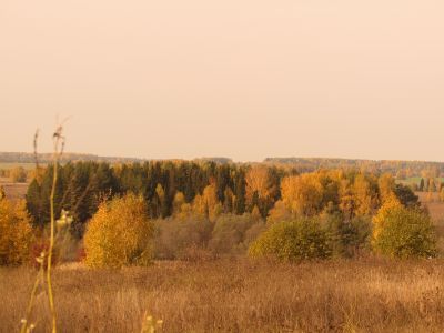 Священная роща