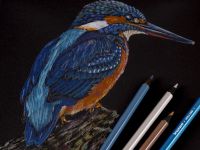 Набор цветных карандашей Bruynzeel "Машина" 58 цв+ластик+точилка в мет. упаковке