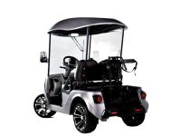 Гольфкар СПЕКТР Golf 2