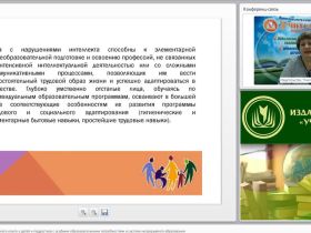 Международный вебинар "Формирование социального опыта у детей и подростков с особыми образовательными потребностями в системе непрерывного образования"