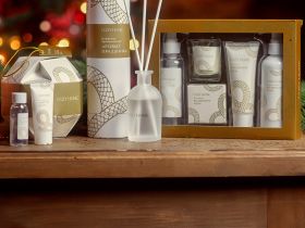 Диффузор Аромат праздника 100 мл