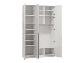 Распашной шкаф Кимбол 3.1-150x250 Белый