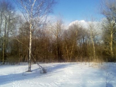 Усадьба. Парк