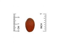 Solumeve, Мультивитаминные жевательные таблетки, без желатина, вкус винограда, 100 вегетарианских жевательных таблеток