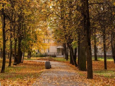 Парк «Константиновский»