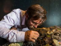 Культурно-просветительский комплекс «Музей вулканов на Камчатке «Вулканариум»