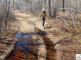 Весеннее пробуждение. Пешая экскурсия по Табагинскому Мысу
