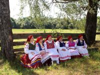 Лужнянский сельский дом культуры