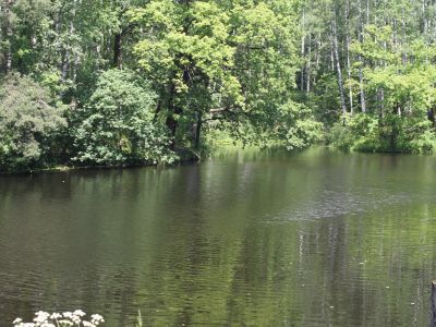 Водная система, состоящая из Черной речки и трех прудов с гидросооружениями, начало  XX века: 1-я насыпная дамба между верхними и средним прудами; 2 -я насыпная дамба -мост ("Безносый") между средним и нижними прудами; плотина деревянная у впадения Черной