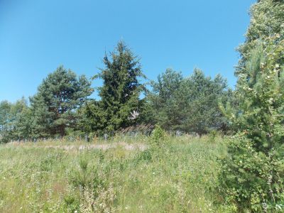 Родина Героя Советского Союза Д.М.Синенкова, погиб в мае 1944 г.