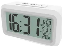 Часы-будильник Ritmix CAT-100 с метеостанцией (белый)