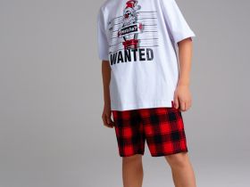 Комплект для мальчиков: фуфайка (футболка) трикотажная, шорты текстильные