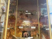 Гагинский районный краеведческий музей