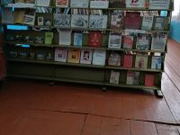 Родничковский библиотечный филиал № 27