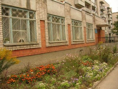 Районная детская библиотека г. Новосокольники