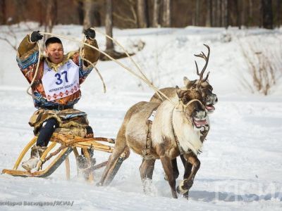 Нагрузка на мобильную сеть во время чемпионата по оленеводству в Якутии возросла в 3,5 раза
