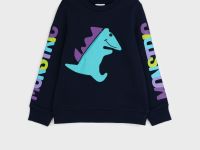 Толстовка трикотажная для мальчиков