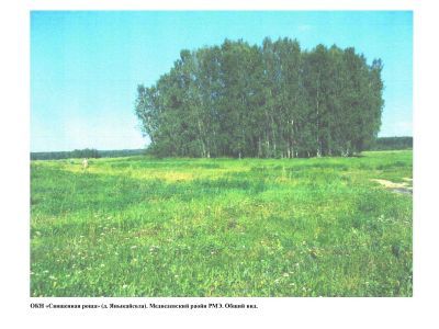 Священная роща