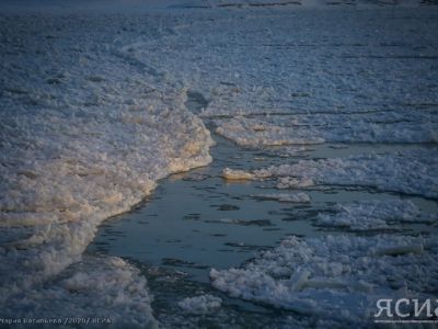 Шугоход наблюдается на реке Лене у Якутска