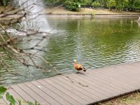 Гончаровский парк