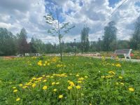 Городской парк культуры и отдыха «Парк героев 1812 года»