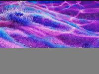 Телевизор Samsung 75" Neo QLED QN80F 4K Mini LED, Процессор NQ4 AI Gen2, Vision AI Smart ТВ (2025) QE75QN80FAUXRU черный