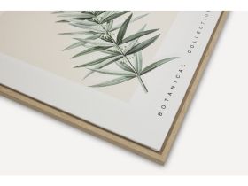 Картина Ботаник Трава 40x50