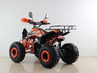 Квадроцикл MOTAX ATV T-Rex Super LUX 50 cc