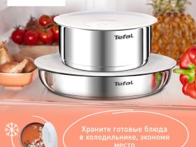 Набор посуды Tefal Ingenio Emotion из 5 предметов 16/20/22/28 см L897S574
