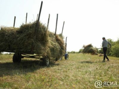 План по заготовке сена в Чурапчинском районе Якутии выполнен на 46%