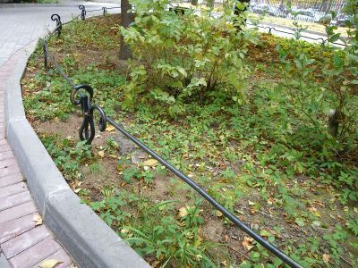 Палисадники (четыре)