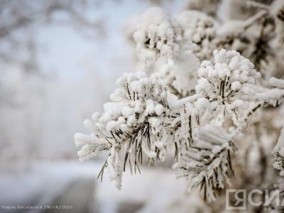 От -10 до -55 градусов: прогноз погоды в Якутии на 21 января