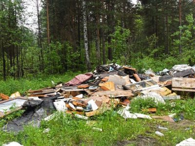 Не бросайте, люди, мусор где попало!