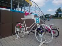 Волчье-Александровский центр культурного развития