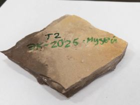 В Якутии ученые собрали уникальные образцы кембрийского периода