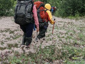 «В горах Семи Хребтов. Водопады хребта Сэттэ Дабан»