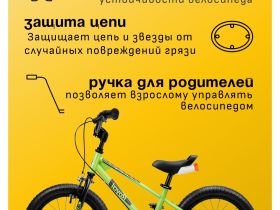 Детский велосипед Royal Baby Freestyle EZ 16, год 2023, цвет Зеленый