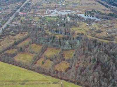 Парк усадьбы Багратион-Мухранских