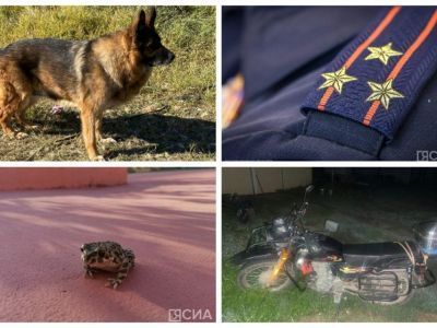 Обзор популярных и интересных новостей за 8 августа в Якутии