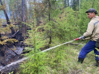 Главный лесничий Горного района: «Пожары начались после гроз»