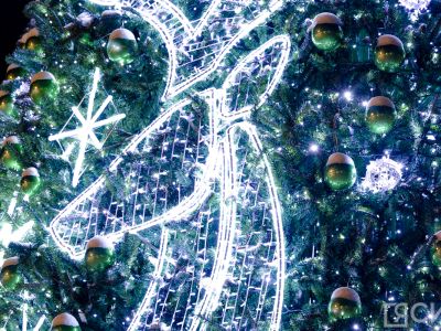 Елку на площади Орджоникидзе в Якутске установят в ноябре