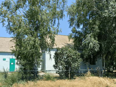 Камышевская библиотека