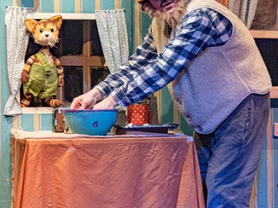 Проснись, Петсон! или Удивительное Рождество