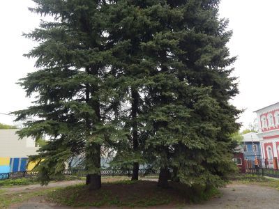 Памятник В.И.Ленину