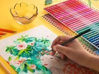 Набор карандашей акварельных Brutfuner 180 цв., деревянные, заточенные, в пластиковом чемодане на кн